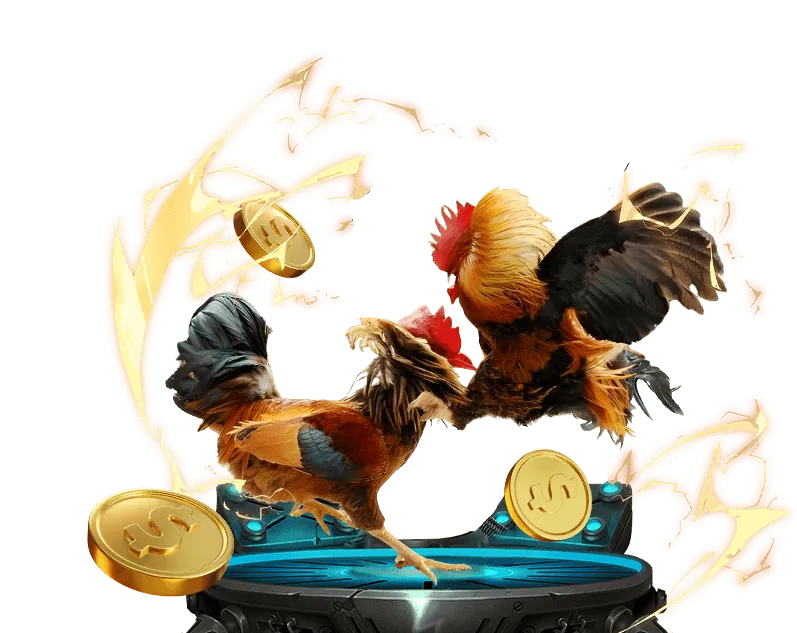 Xem Trực Tiếp Đá Gà Loto188